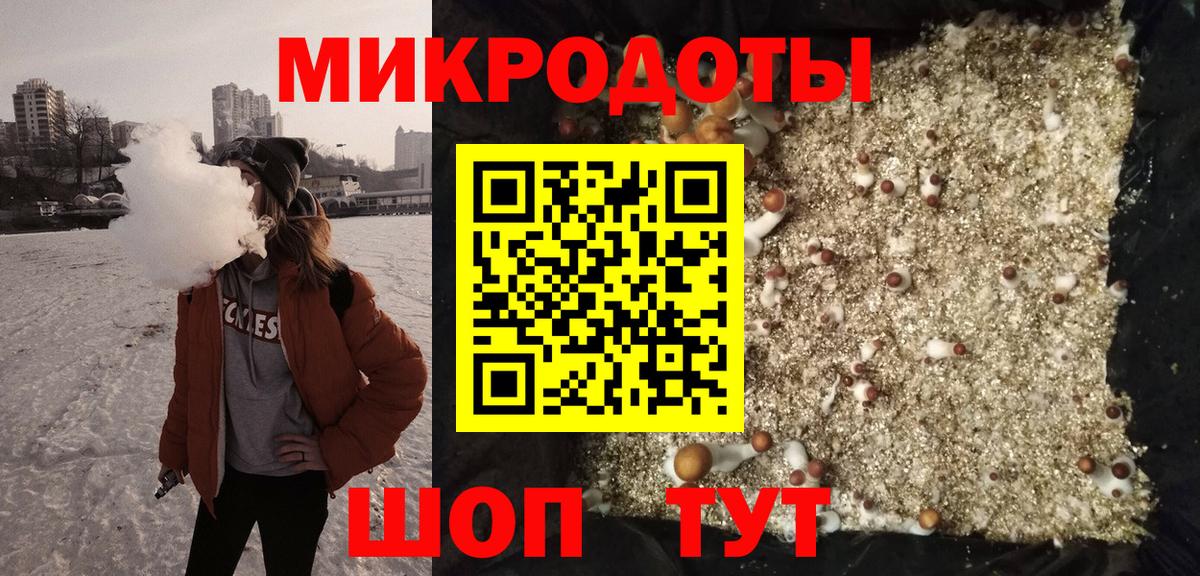 Псилоцибиновые грибы GOLDEN TEACHER  Вход с VPN  Галлюциногенные грибы MAGIC MUSHROOMS  Чита 