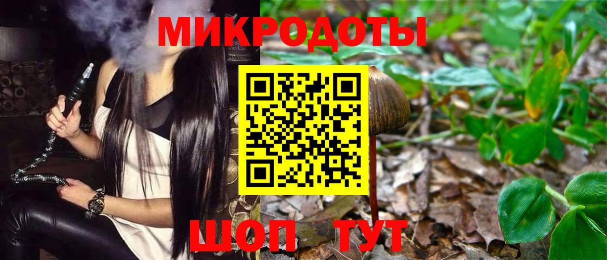 Псилоцибиновые грибы мицелий Чита